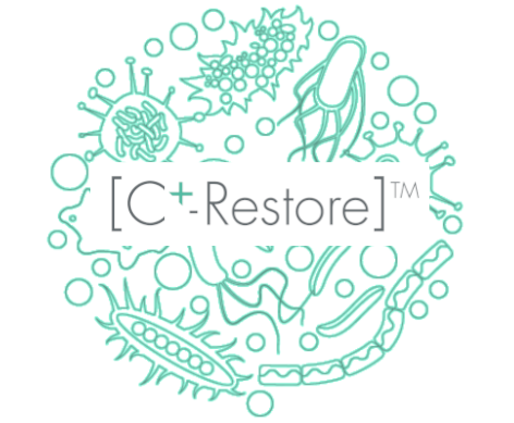 C+-Restore