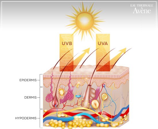 Conoce La Diferencia Entre Rayos UVA Y UVB. | Eau Thermale Avène